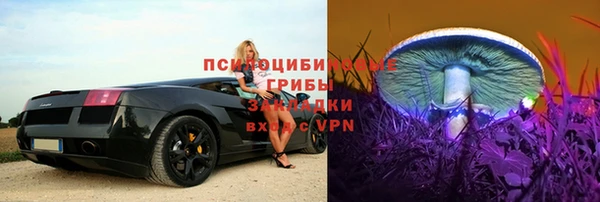 PSILOCYBIN Абаза