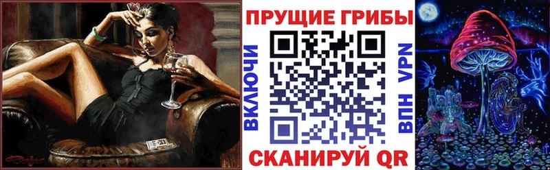 Псилоцибиновые грибы Psilocybe  omg ONION  Кинешма 