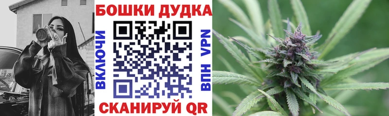 МАРИХУАНА AK-47 hydra зеркало сайты даркнета как зайти Кинешма